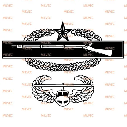 Combat Infantry Badge (CIB) 2nd Air Assault Vinyl Decal